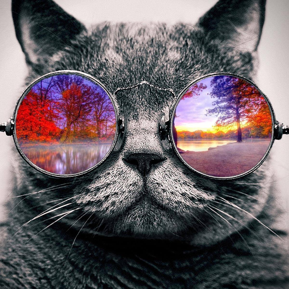 Cool to have